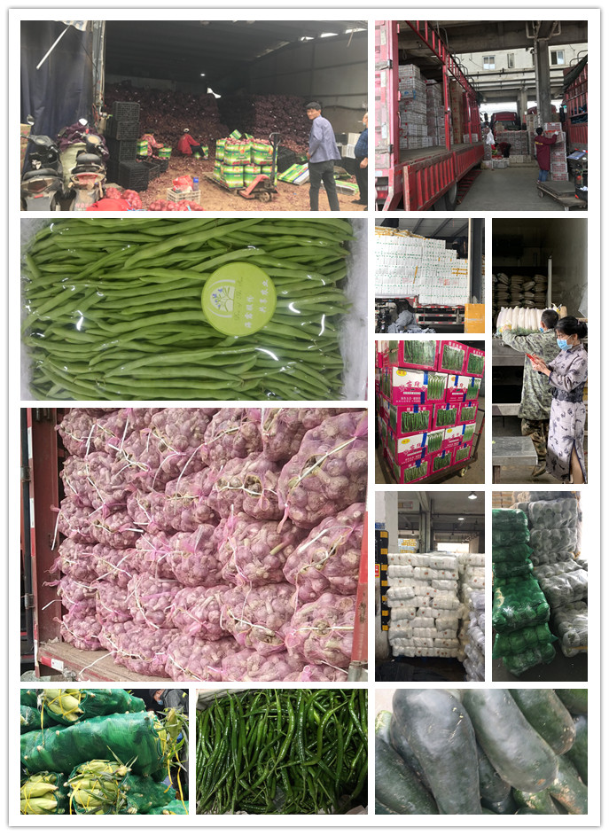 rb88随行版-rb88手机随行版登录入口