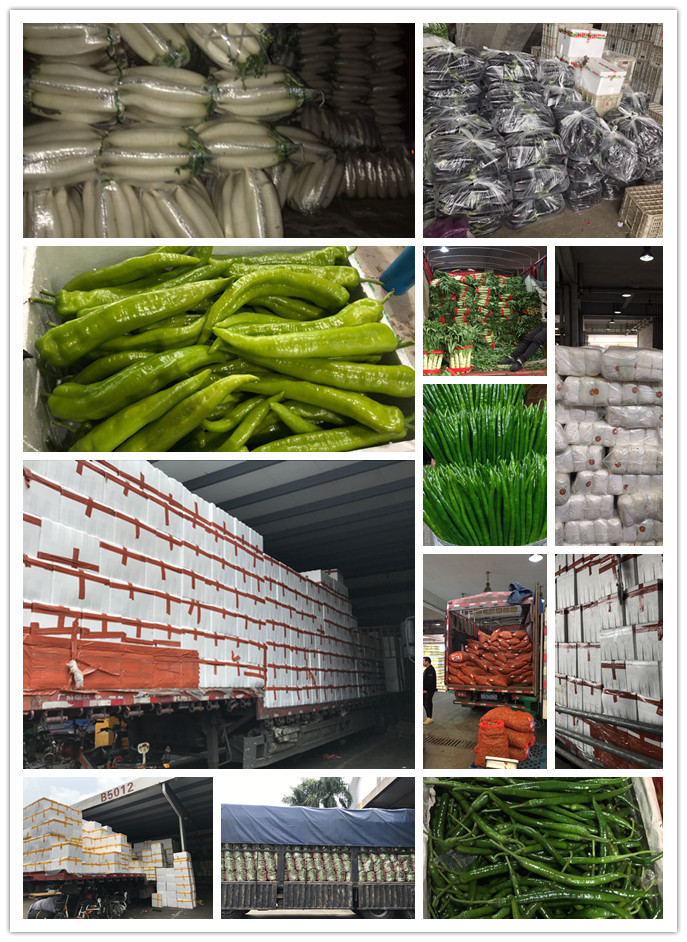 rb88随行版-rb88手机随行版登录入口