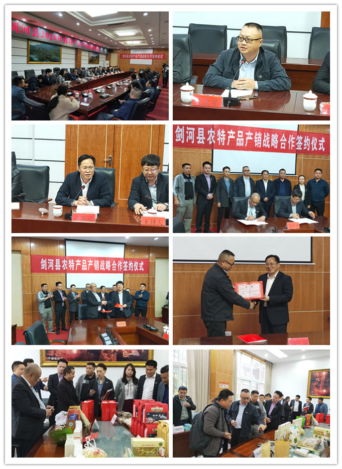 rb88随行版-rb88手机随行版登录入口