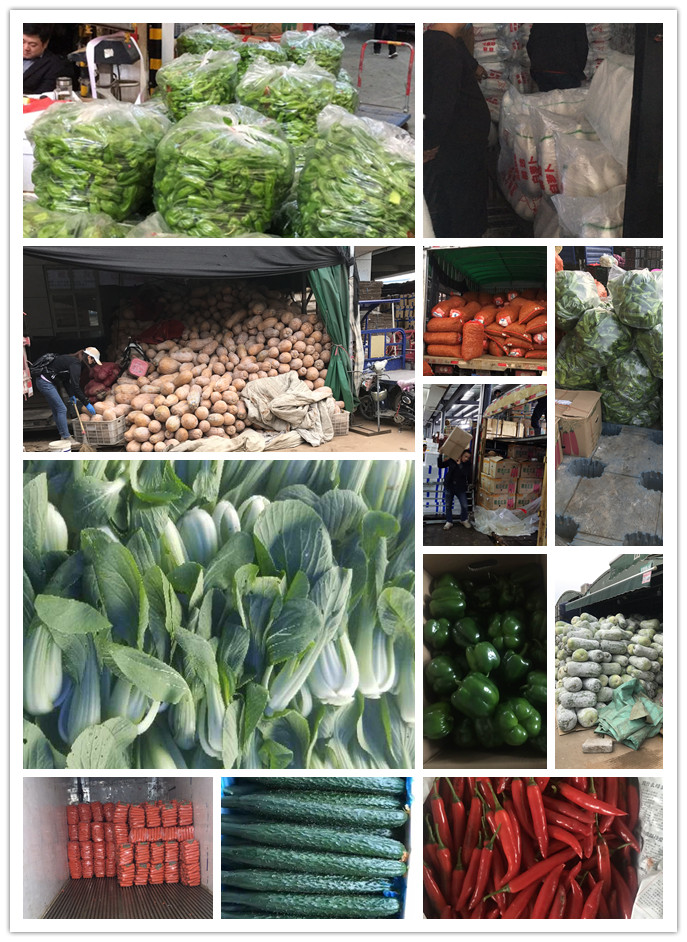 rb88随行版-rb88手机随行版登录入口