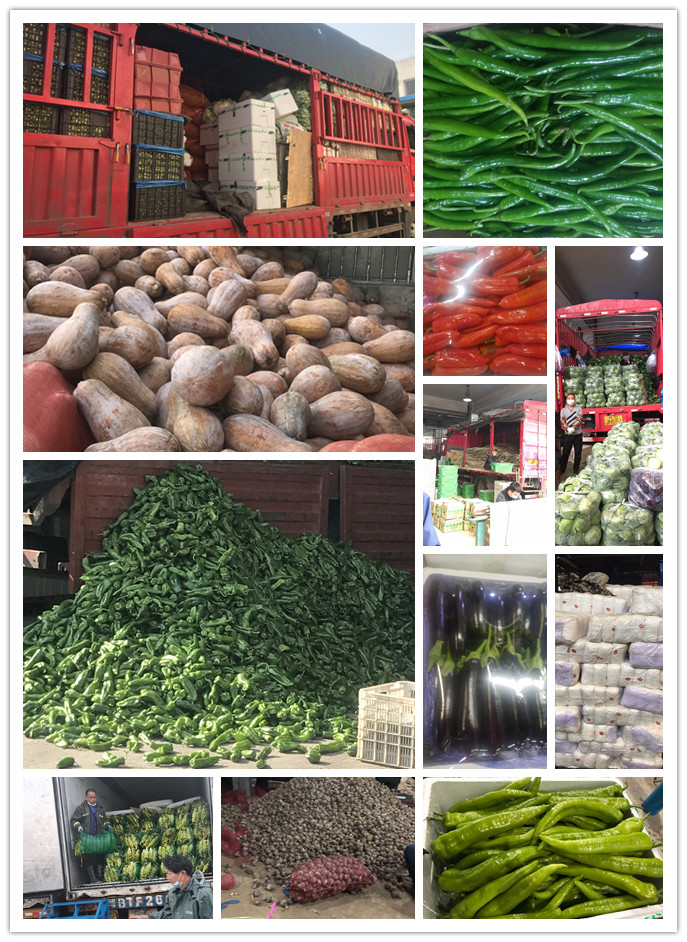 rb88随行版-rb88手机随行版登录入口