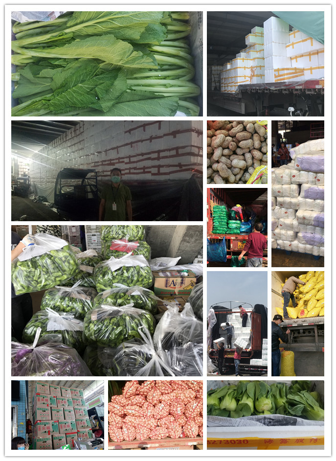 rb88随行版-rb88手机随行版登录入口