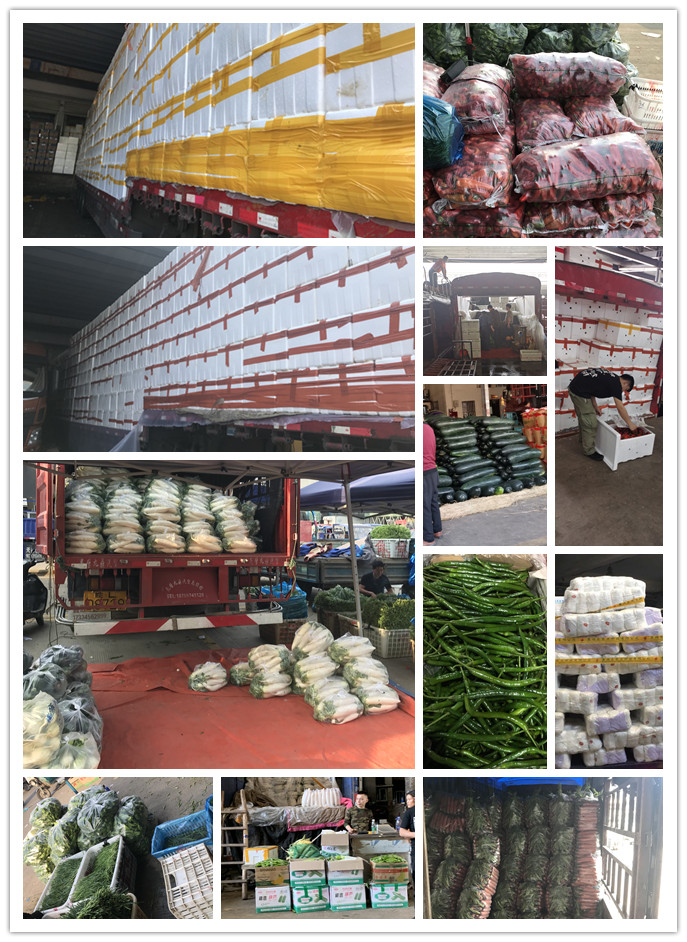 rb88随行版-rb88手机随行版登录入口