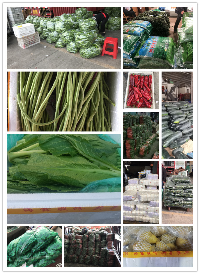 rb88随行版-rb88手机随行版登录入口