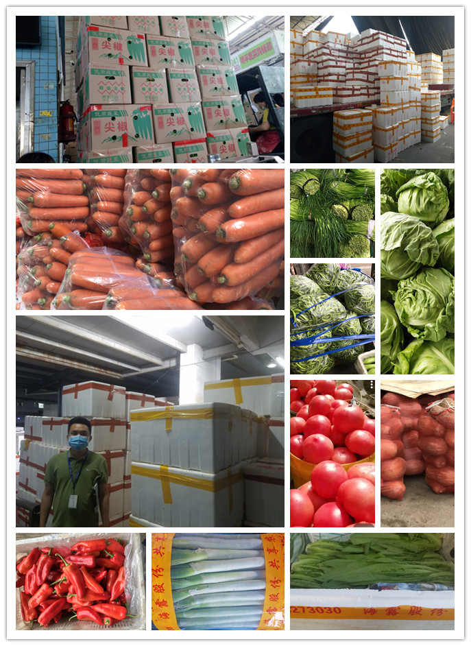 rb88随行版-rb88手机随行版登录入口