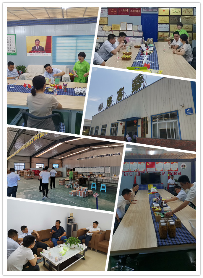 rb88随行版-rb88手机随行版登录入口