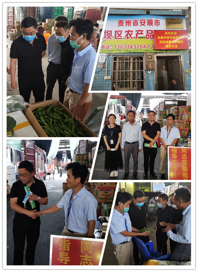 rb88随行版-rb88手机随行版登录入口