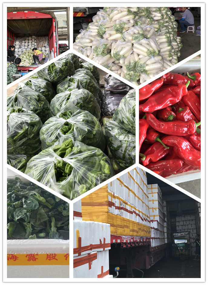 rb88随行版-rb88手机随行版登录入口