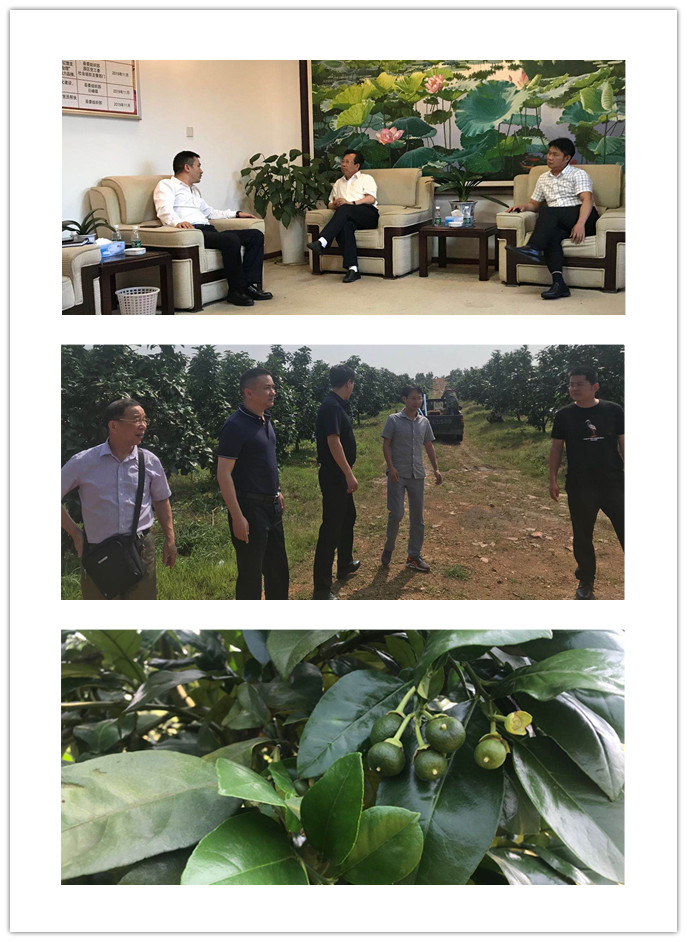 rb88随行版-rb88手机随行版登录入口