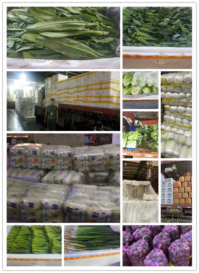 rb88随行版-rb88手机随行版登录入口