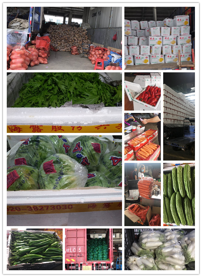 rb88随行版-rb88手机随行版登录入口