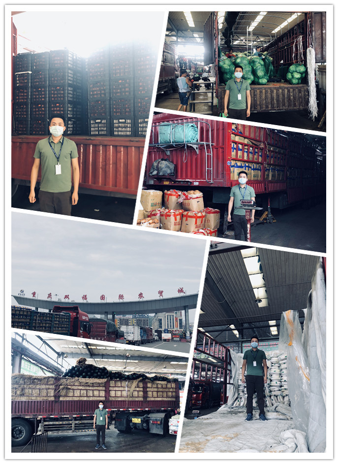 rb88随行版-rb88手机随行版登录入口