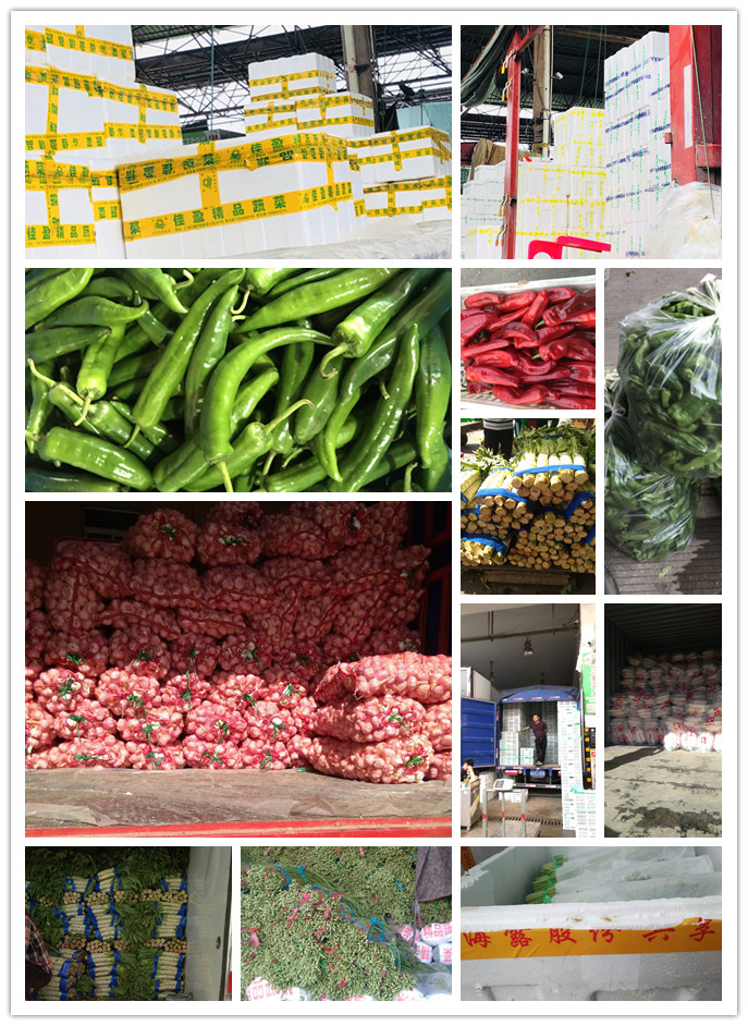 rb88随行版-rb88手机随行版登录入口