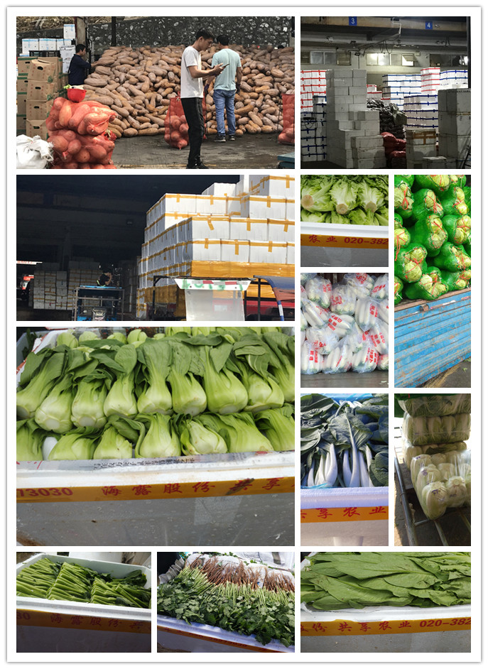 rb88随行版-rb88手机随行版登录入口