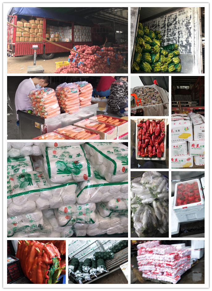 rb88随行版-rb88手机随行版登录入口