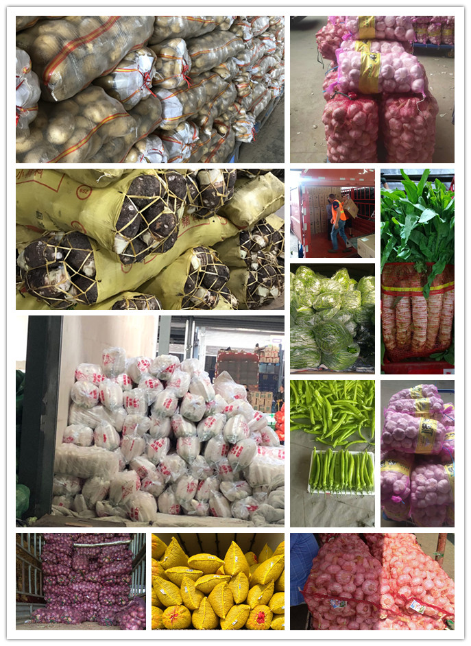 rb88随行版-rb88手机随行版登录入口