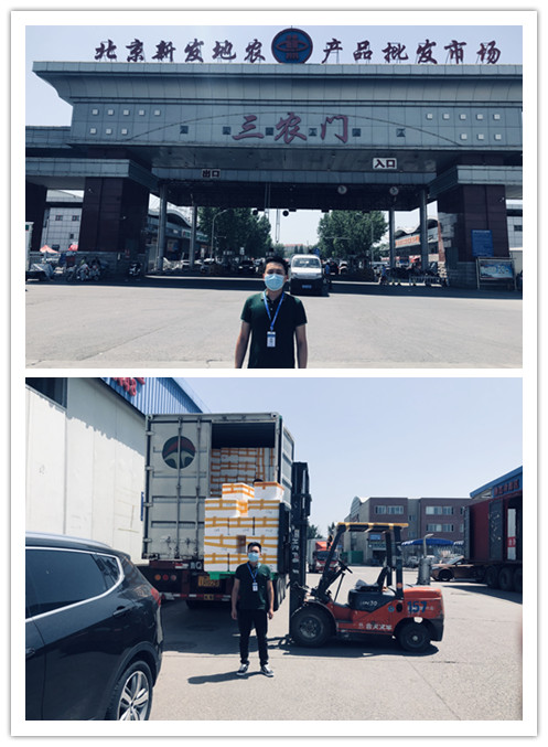 rb88随行版-rb88手机随行版登录入口