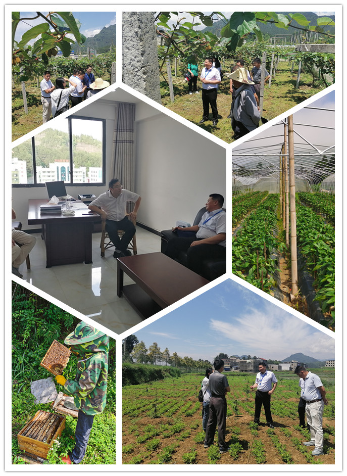 rb88随行版-rb88手机随行版登录入口