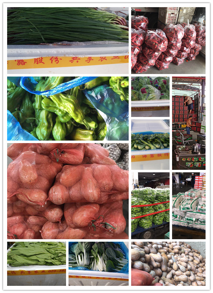 rb88随行版-rb88手机随行版登录入口