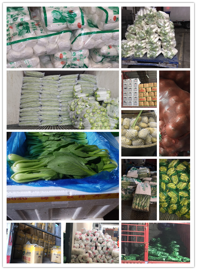 rb88随行版-rb88手机随行版登录入口