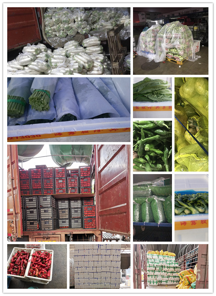 rb88随行版-rb88手机随行版登录入口