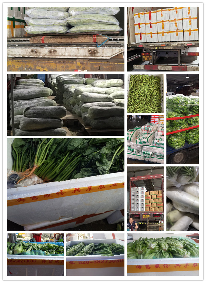 rb88随行版-rb88手机随行版登录入口