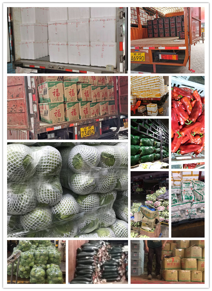 rb88随行版-rb88手机随行版登录入口