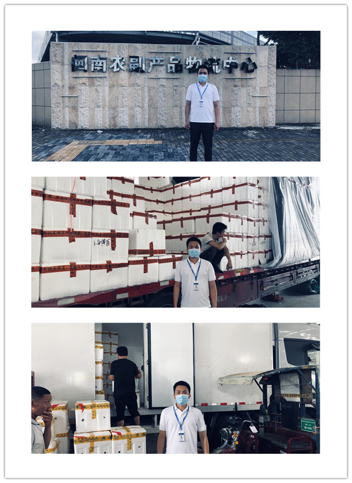 rb88随行版-rb88手机随行版登录入口