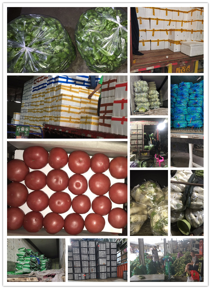 rb88随行版-rb88手机随行版登录入口