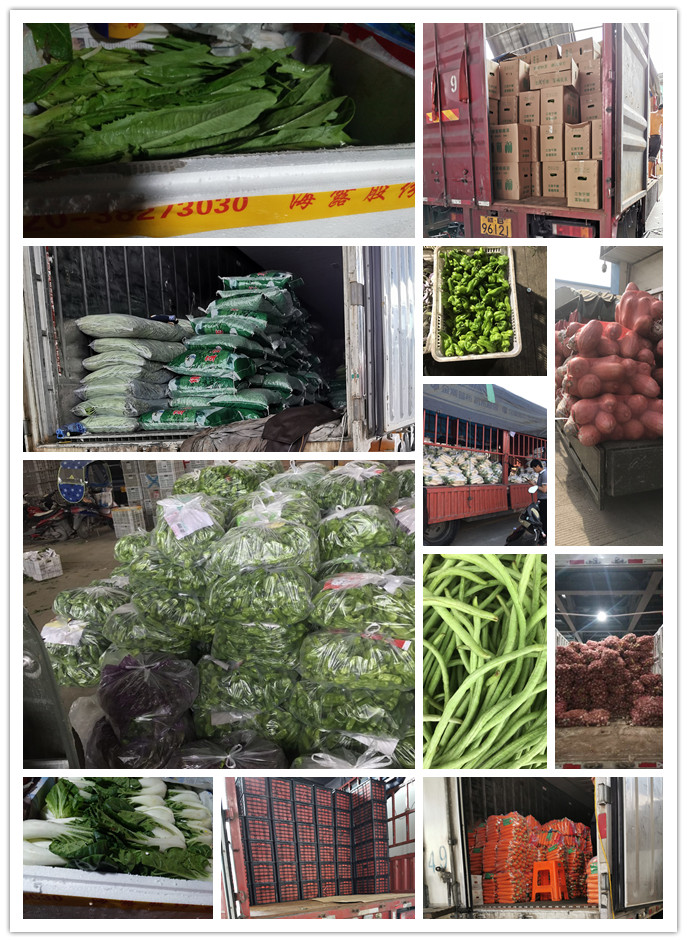 rb88随行版-rb88手机随行版登录入口