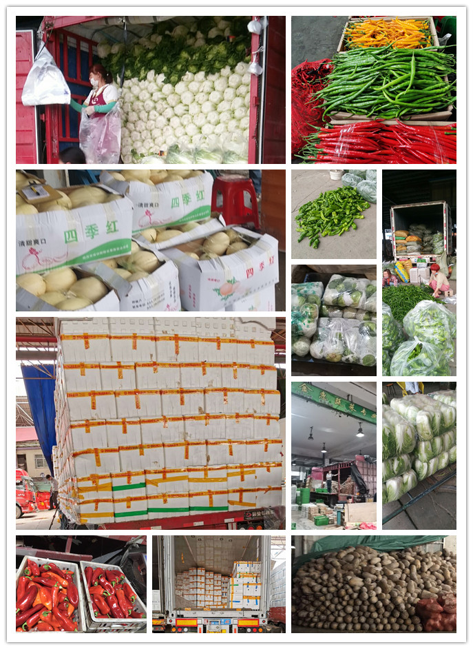 rb88随行版-rb88手机随行版登录入口