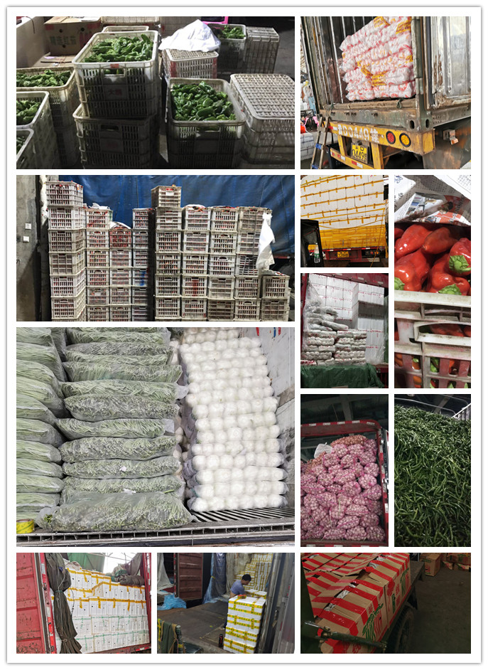 rb88随行版-rb88手机随行版登录入口