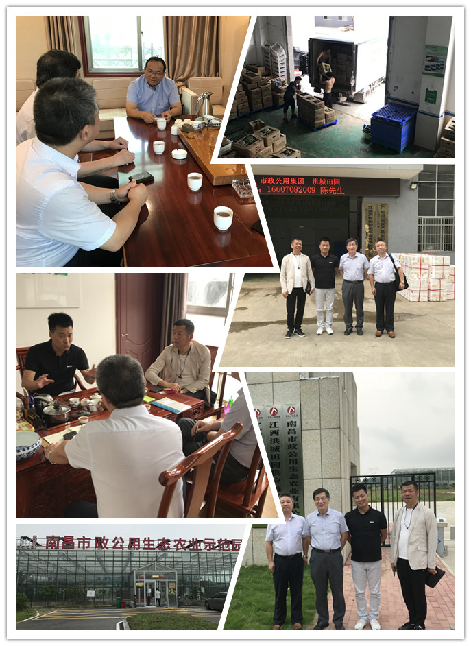 rb88随行版-rb88手机随行版登录入口