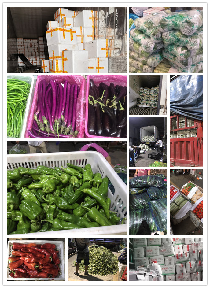 rb88随行版-rb88手机随行版登录入口