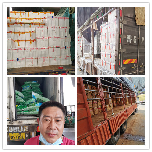 rb88随行版-rb88手机随行版登录入口