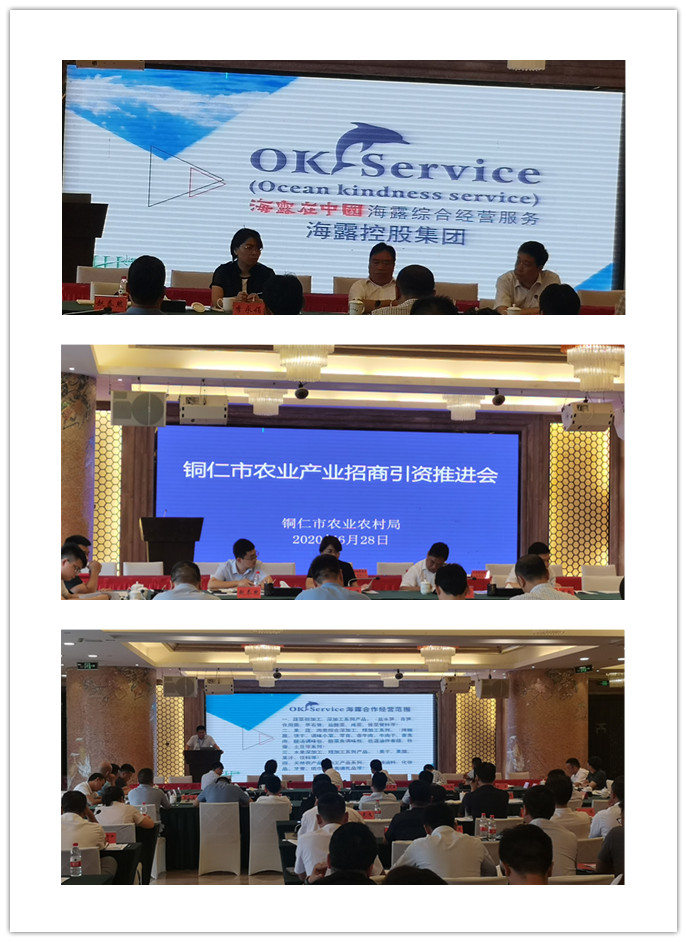 rb88随行版-rb88手机随行版登录入口