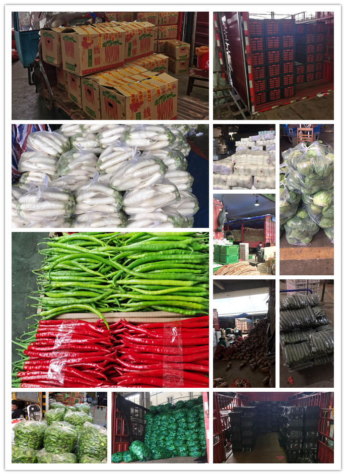 rb88随行版-rb88手机随行版登录入口