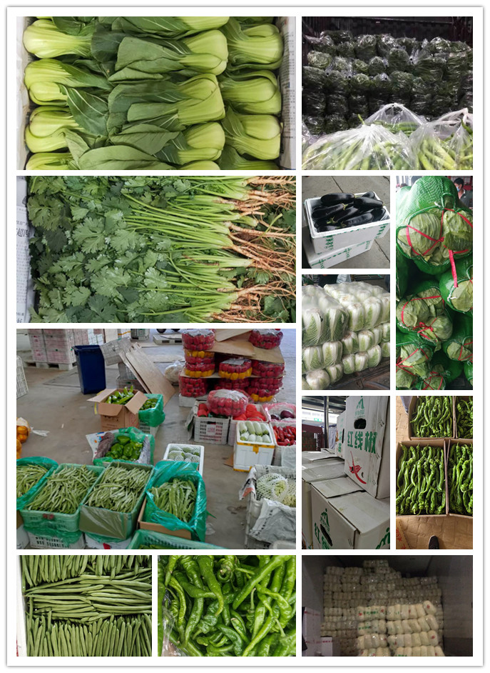 rb88随行版-rb88手机随行版登录入口