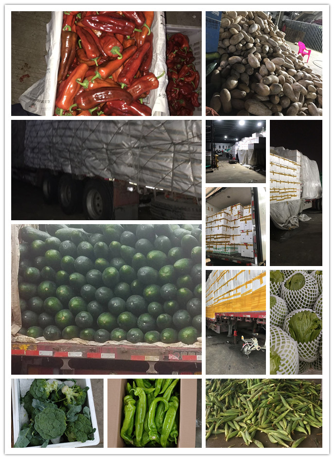 rb88随行版-rb88手机随行版登录入口