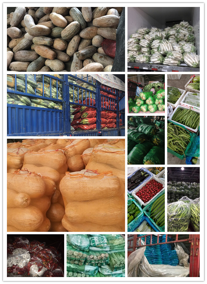 rb88随行版-rb88手机随行版登录入口