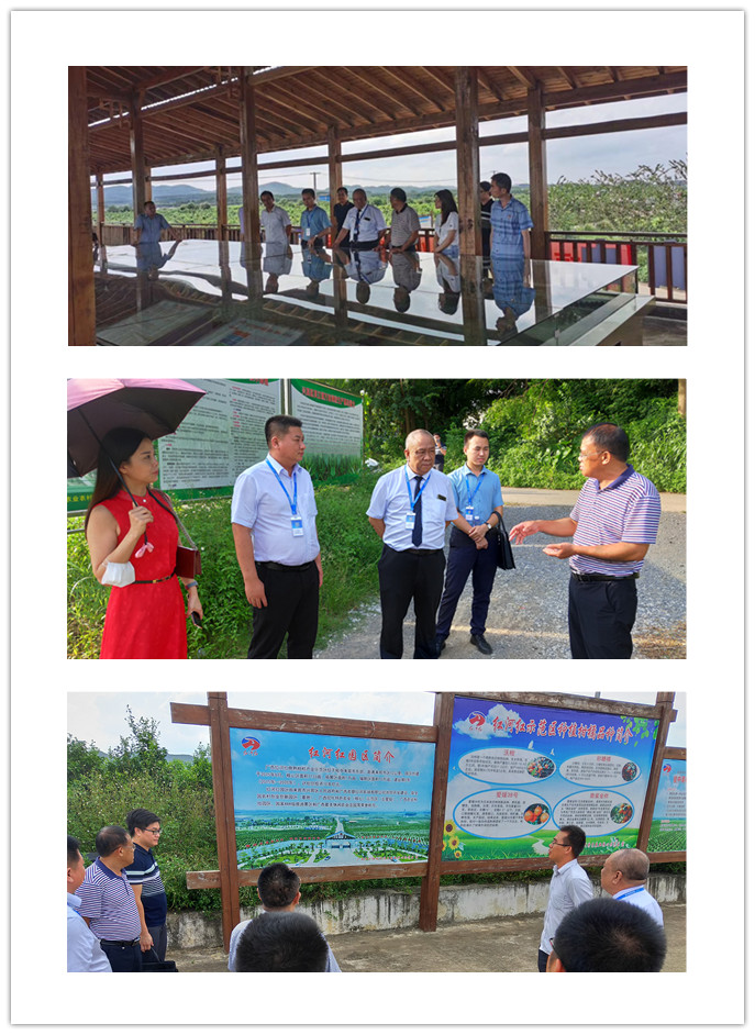 rb88随行版-rb88手机随行版登录入口