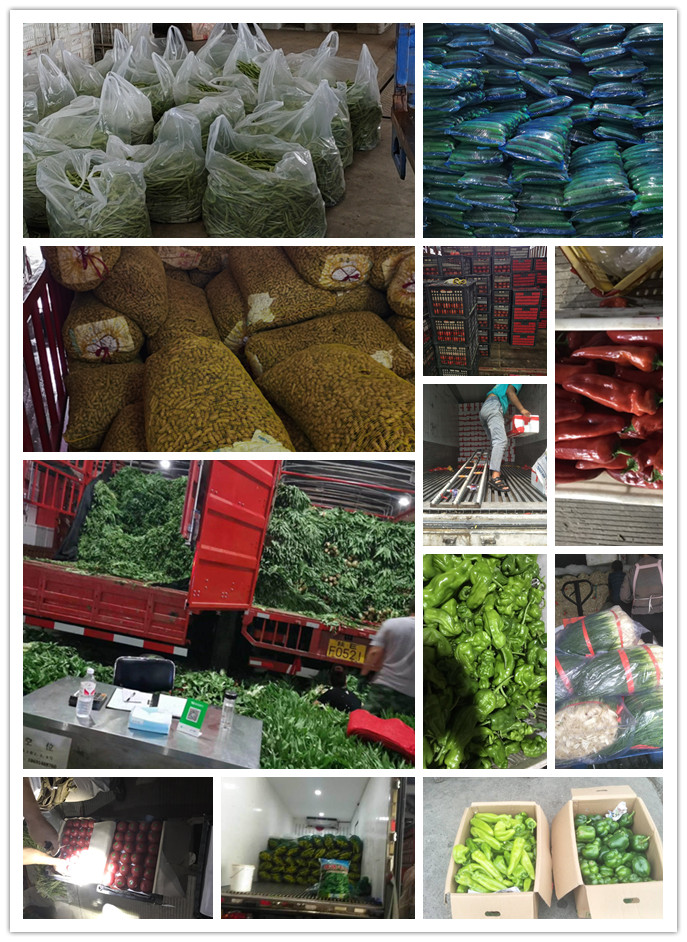 rb88随行版-rb88手机随行版登录入口