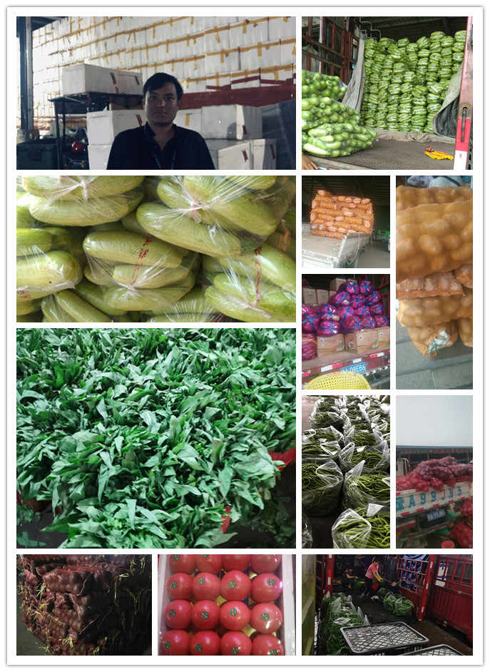 rb88随行版-rb88手机随行版登录入口