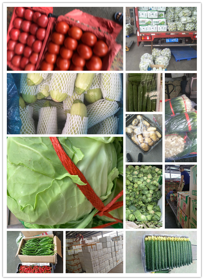 rb88随行版-rb88手机随行版登录入口