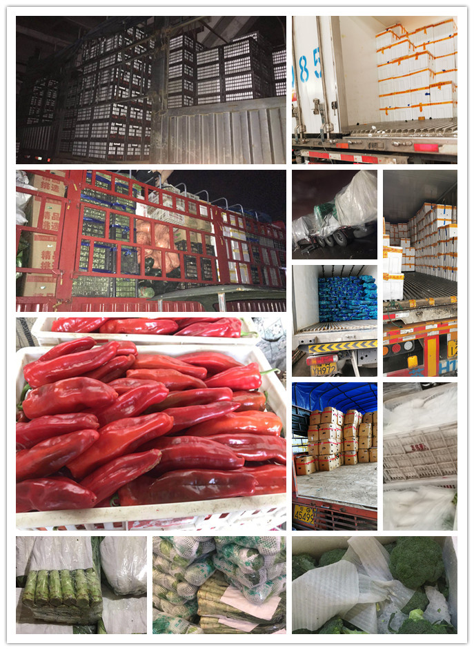 rb88随行版-rb88手机随行版登录入口