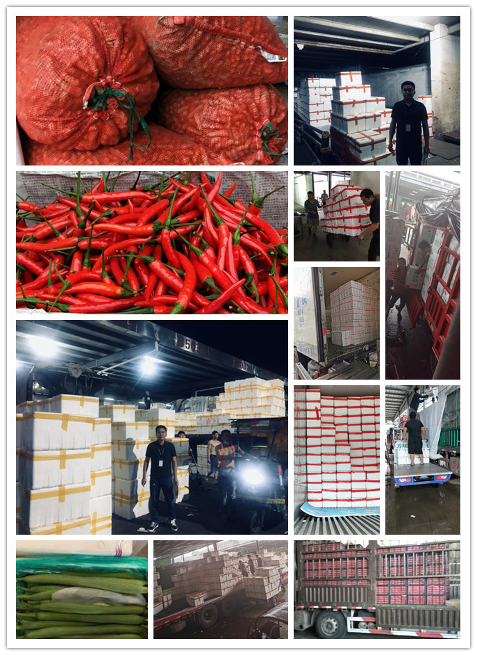 rb88随行版-rb88手机随行版登录入口