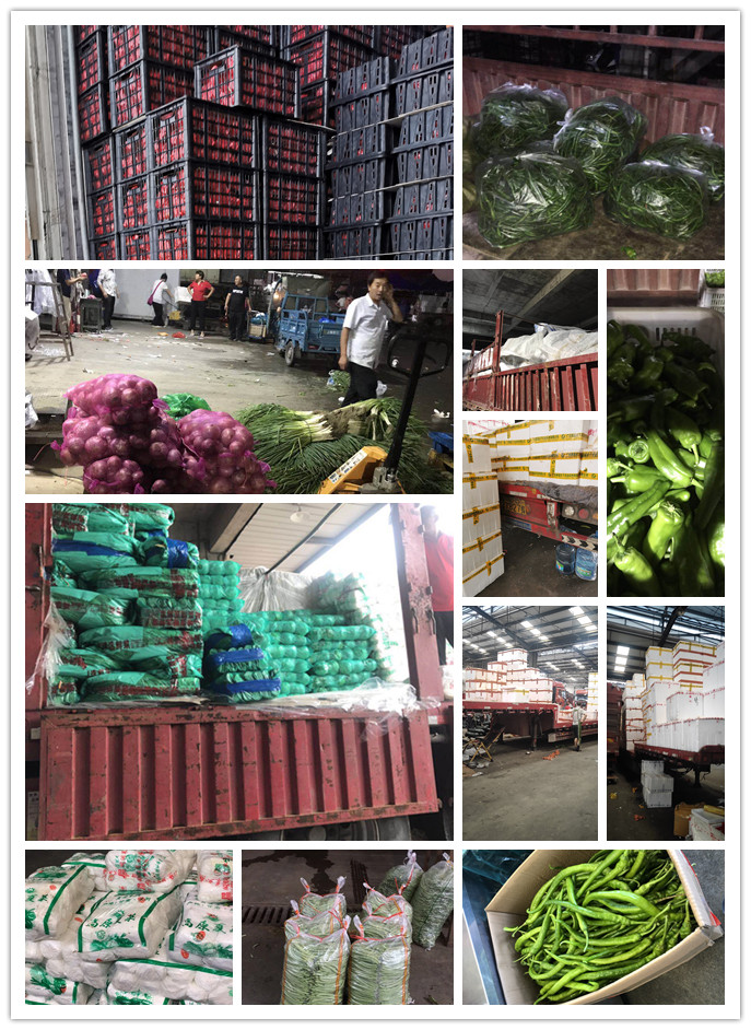 rb88随行版-rb88手机随行版登录入口