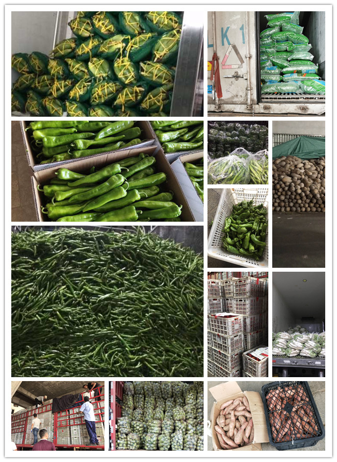 rb88随行版-rb88手机随行版登录入口