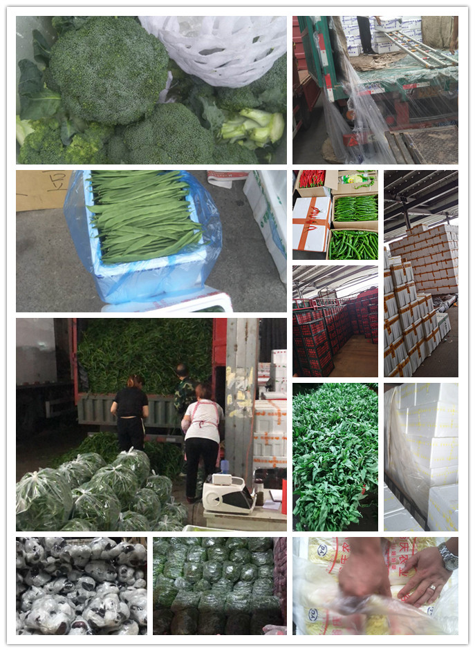 rb88随行版-rb88手机随行版登录入口