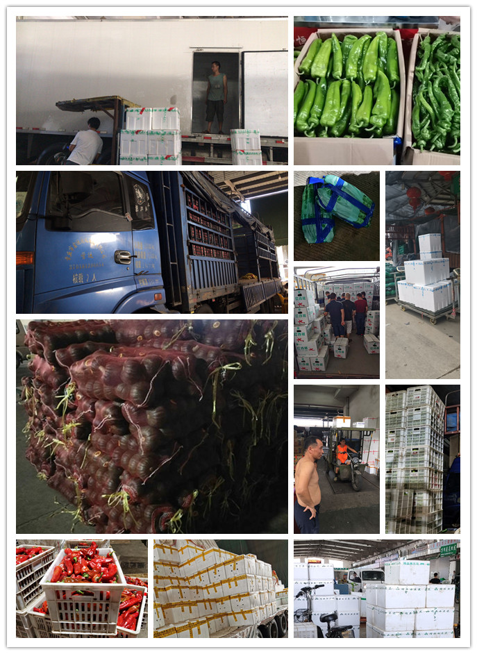 rb88随行版-rb88手机随行版登录入口